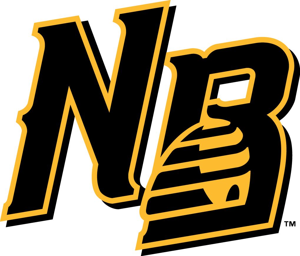 New Britain Bees 2016-Pres Secondary Logo iron on transfers for T-shirts